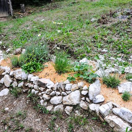 Gorska Hiska Vogar Nad Bohinjskim Jezerom ภายนอก รูปภาพ