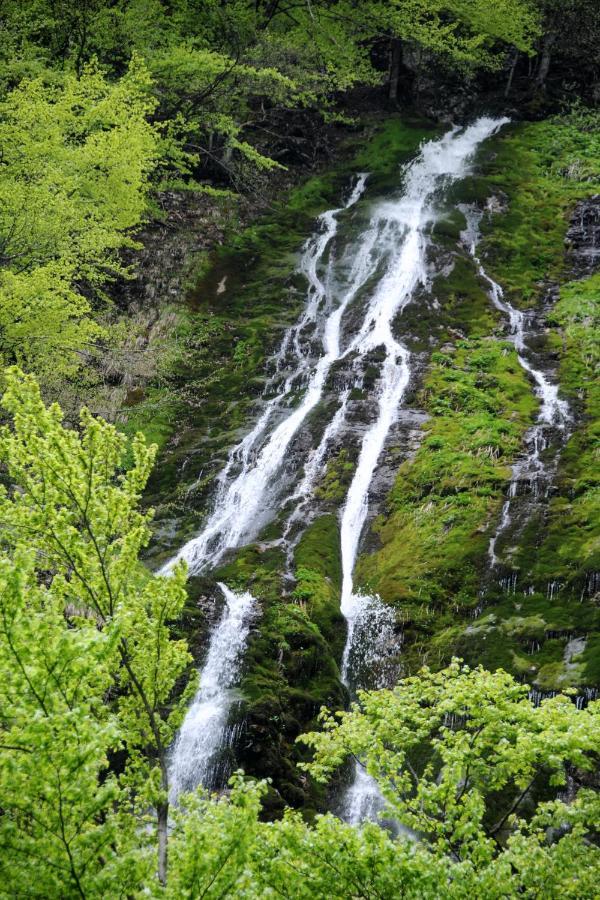 Gorska Hiska Vogar Nad Bohinjskim Jezerom ภายนอก รูปภาพ